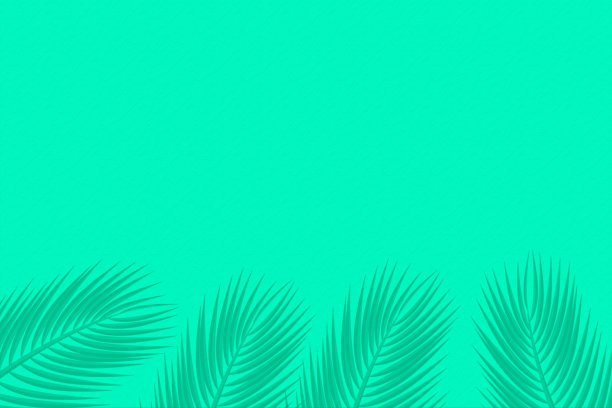 薄荷蓝色水泥纹理墙叶植物阴影背景。夏季热带旅游海滩与最小的概念。平铺粉彩手掌自然。图片下载