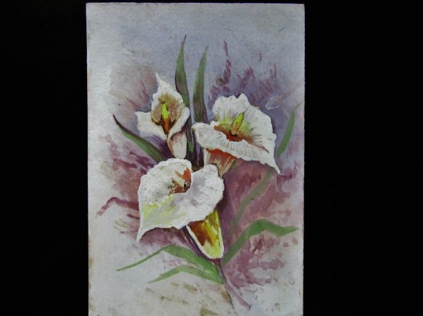 致以节日的问候图片下载