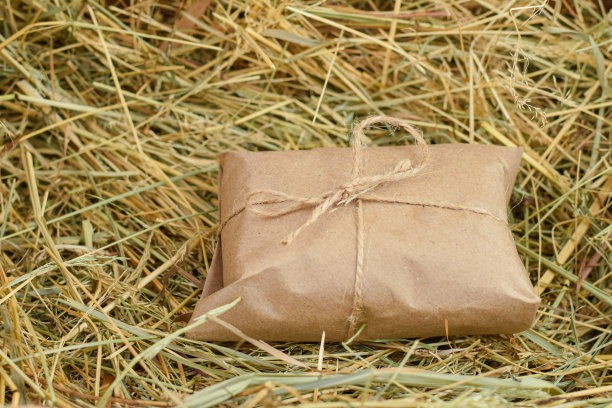 生态产品。自然环保的食品理念。生物，环保包装。自然,有机产品。图片下载