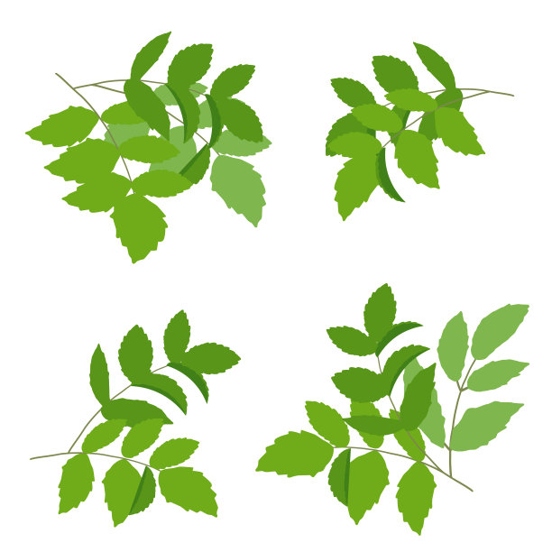 简单新鲜的绿色矢量插图部分图片下载