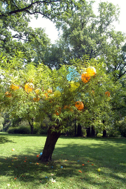 通过树木生长实现城市绿化图片下载