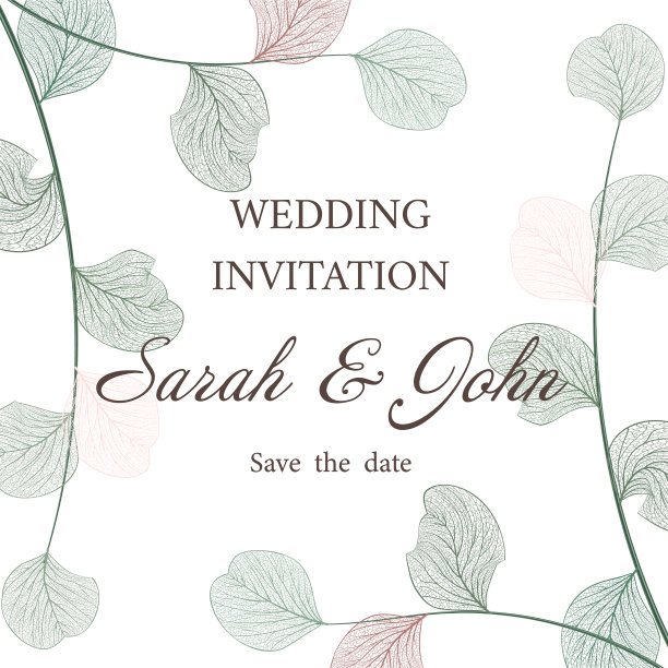 婚礼请帖随叶桉树，孤立上白。图片下载