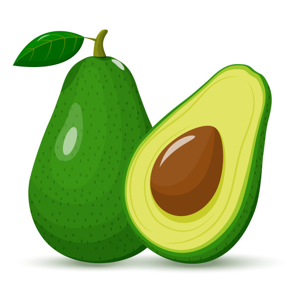 鳄梨的整个和一半。带籽的绿色鳄梨。果实孤立在白色背景上。平面设计。矢量图图片下载