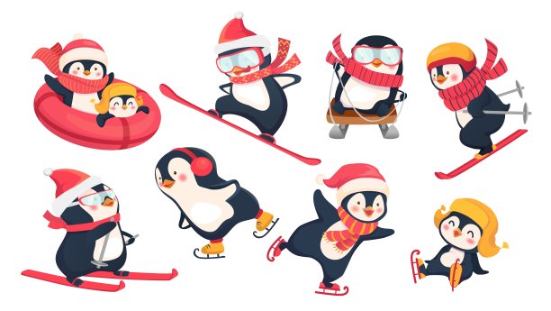 冬天活跃的企鹅图片下载