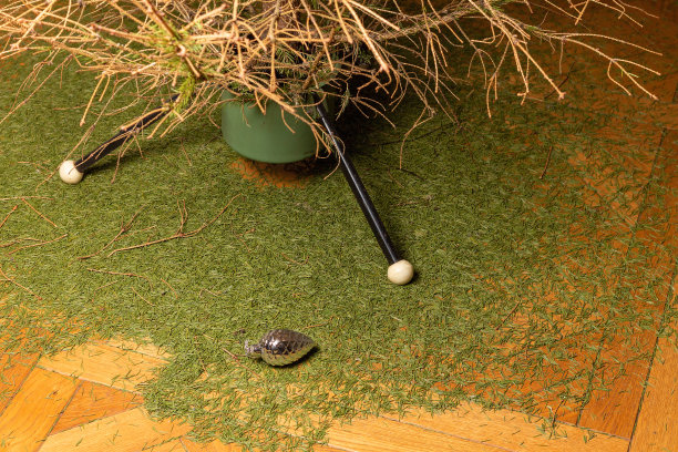 地板上散落着干燥的圣诞树针叶图片下载