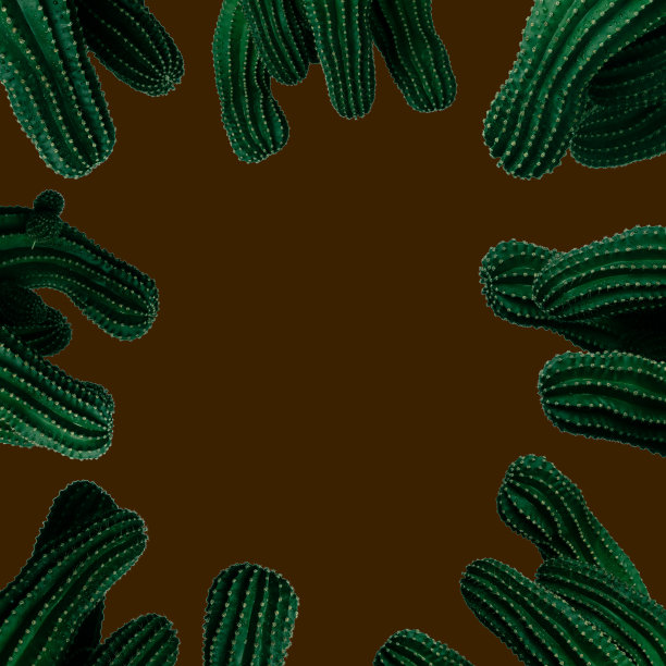 棕色的背景，周围有粗壮的仙人掌茎图片下载