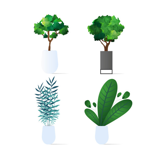 一组小树。孤立在白色背景上的室内植物。矢量图图片下载