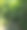 森林里的狗图片下载