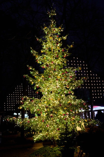 圣诞节的魔力永远不会结束图片下载