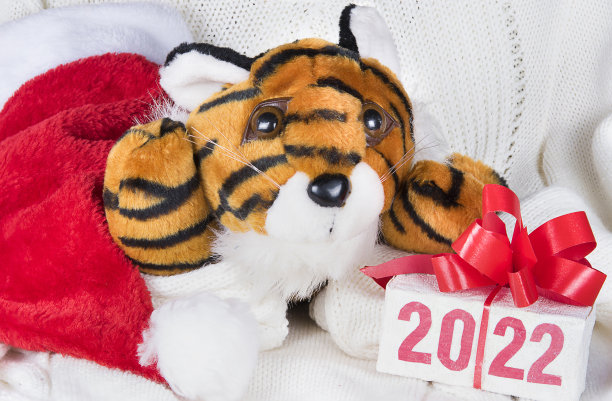 老虎象征2022年，礼盒与文字2022和红色的圣诞老人帽在白色针织背景。图片下载