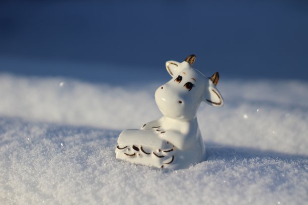 公牛小雕像象征着农历2021年。有角的白奶牛抱着装满财富和健康的盒子在白色毛茸茸的雪图片下载