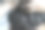 特写女人的手染头发。在家里用灰色的发根染深色头发的中年妇女图片下载