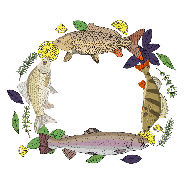 用柠檬和香料手绘的河鱼，色彩丰富。食物菜单，横幅模板。矢量插图。图片下载