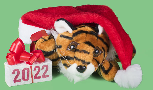 老虎象征2022年，礼盒与文字2022和红色的圣诞老人帽，孤立在绿色的背景。图片下载