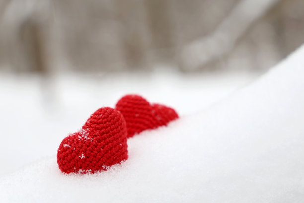 情人的心在冬天的雪森林里图片下载