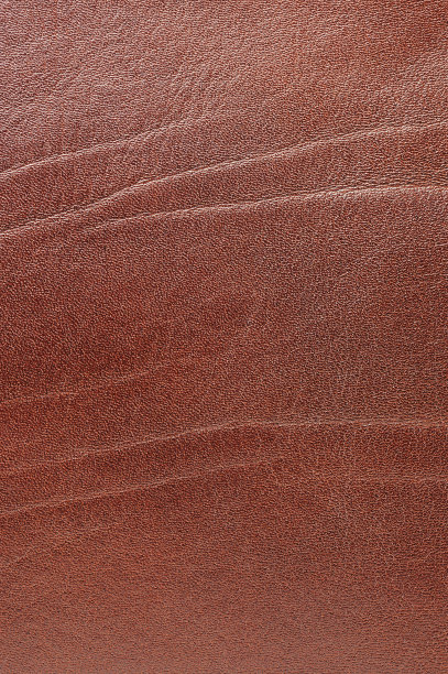 棕色皮革书皮图片下载