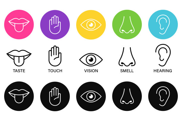 人类神经系统五感图标矢量插图，简单线条图标和色圈，图片下载