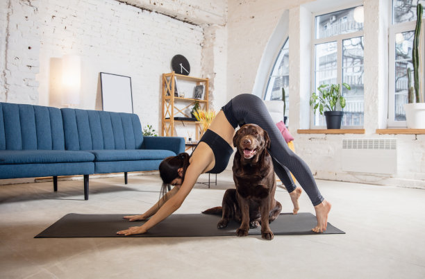 年轻女子在禁闭期间在家锻炼，和狗一起练瑜伽图片下载