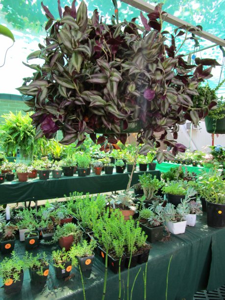 工厂出售图片下载