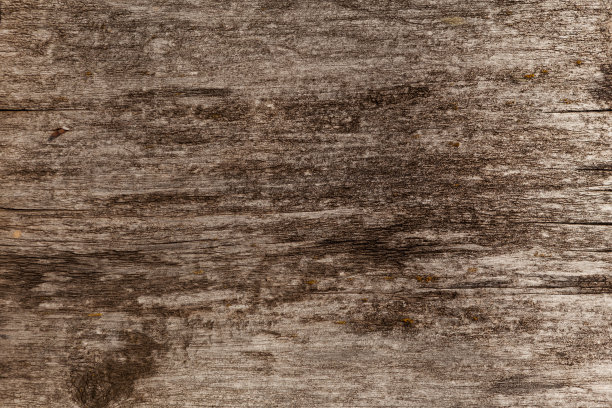 有裂缝和生锈的钉子的旧纹理的木头表面。落叶松板的自然背景图片下载