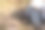 夏天，穿着裙子的女孩坐在长满青草和鲜花的田野里。女性附近的复制空间图片下载