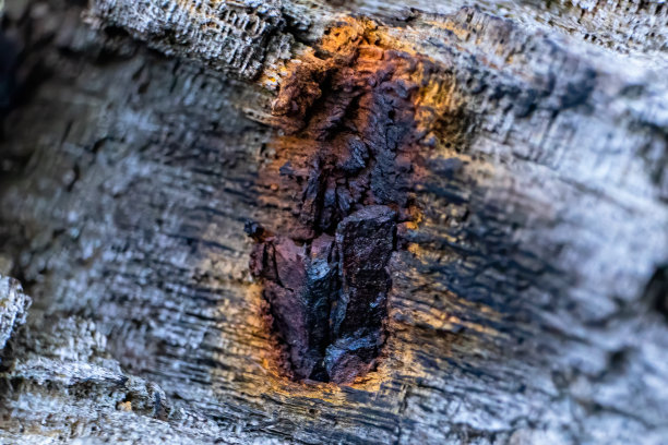 锈迹斑斑的木头图片下载