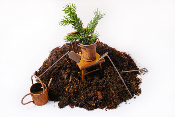 园艺工具和一株植物在肥沃的土壤上。园艺或种植概念。春天在花园里干活图片下载