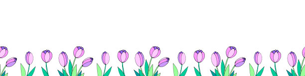 一排粉红色的郁金香花。矢量手绘弹簧背景隔离。水平底边，边界，装饰贺卡，邀请，情人节，妇女或母亲节图片下载