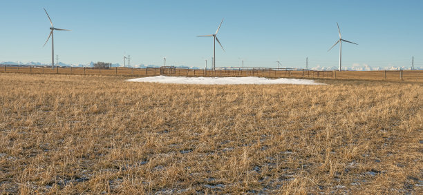 加拿大艾伯塔省麦克劳德堡附近的风力发电场图片下载