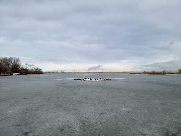 丰富的湖附近的大盐湖-遗产公园路湿地，戴维斯县，犹他州图片下载
