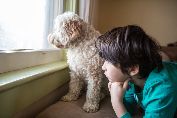 看外面图片下载