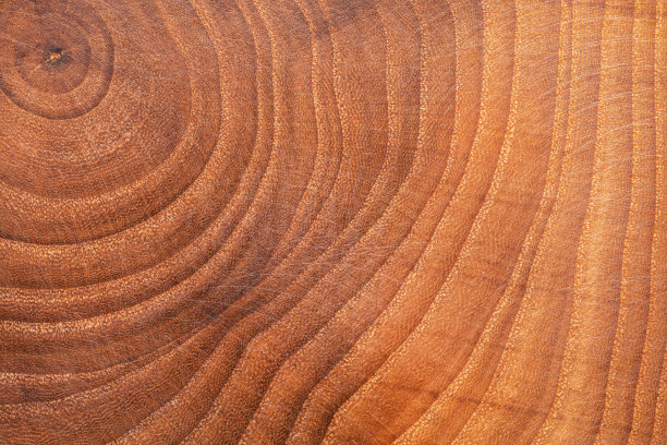 树的年轮微距拍摄。木桩表面轻微划伤。木制背景。图片下载