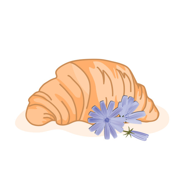 美味的烤牛角面包和可爱的菊苣花孤立在白色的背景。矢量图图片下载