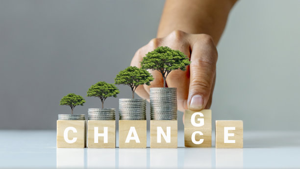 硬币上的树和手翻转木质立方体，将其转化为个人发展和经济增长的机会。素材图片