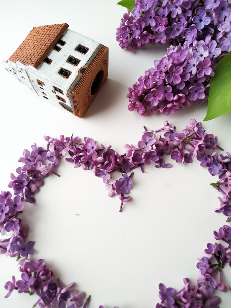 淡紫色的花心，藏红花蜡烛和白色的陶瓷房子图片下载