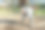 年长者在菜园子里种白菜苗图片下载