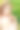 一幅在绿叶映衬下穿着白色衣服的美丽女子的画像。图片下载