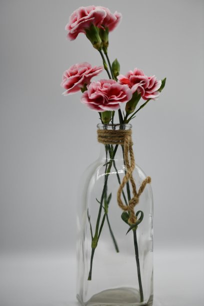 玻璃花瓶里的迷你康乃馨图片下载
