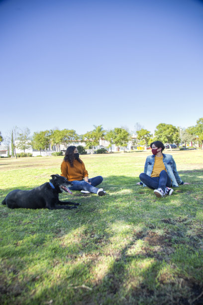 一对夫妇在公园里遛狗图片下载