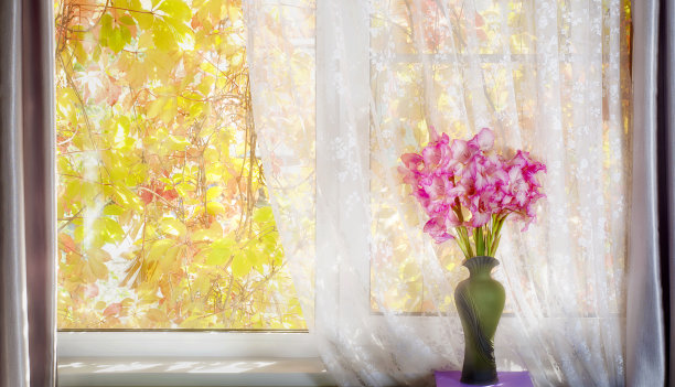 剑兰静物少女葡萄图片下载