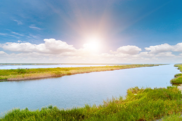 在春天晴朗的天空下，公园、草地和茂密的树林图片下载