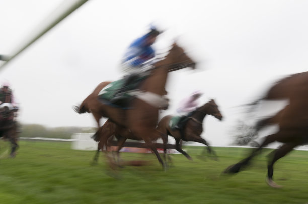 草地上的赛马，运动模糊，低角度视图图片下载