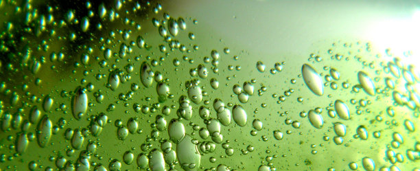 绿色的油泡与闪亮的水滴，抽象的背景，宏观的图像，水滴，绿色的光图片下载