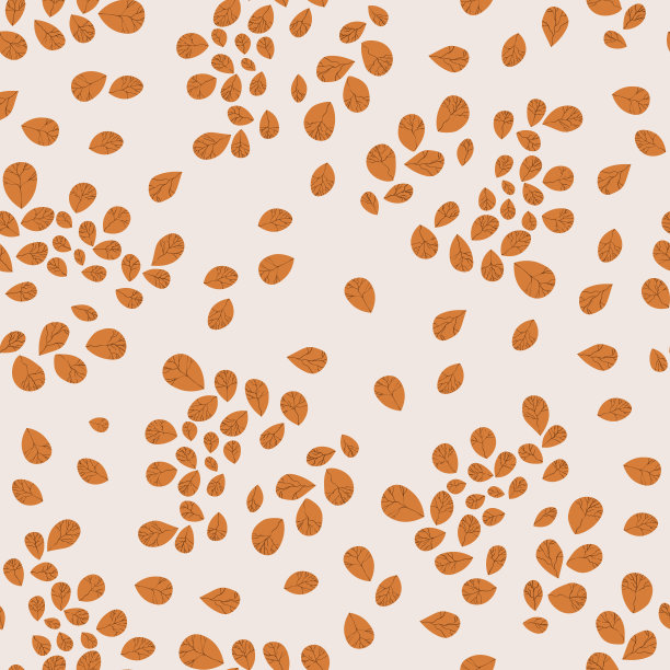 正上方白色背景的巧克力照片图片下载