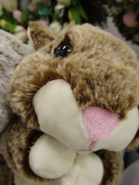 明亮甜蜜的白色棕色兔子毛绒玩具复活节2020图片下载