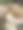 明亮甜蜜的白色棕色兔子毛绒玩具复活节2020图片下载