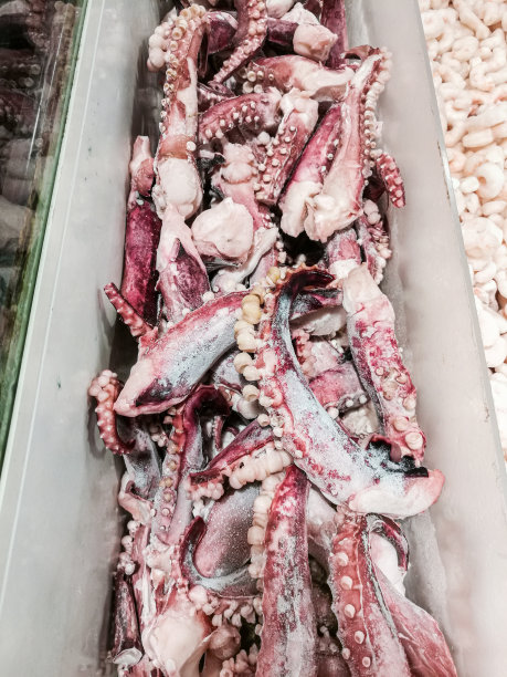 章鱼的触手图片下载