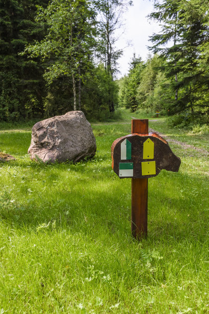 森林里小路上的箭头符号图片下载