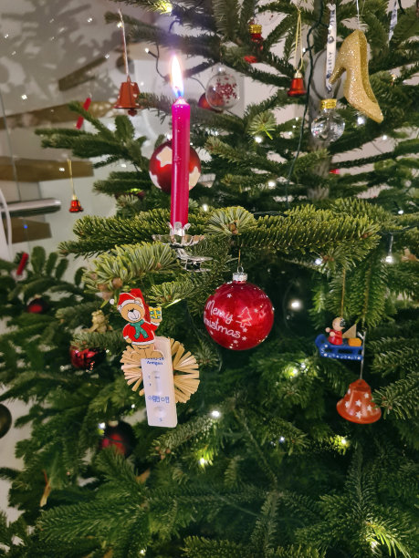 大流行时期的圣诞节图片下载