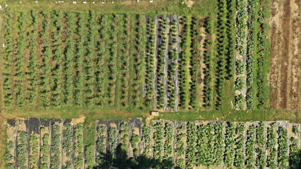 航拍社区花园图片下载